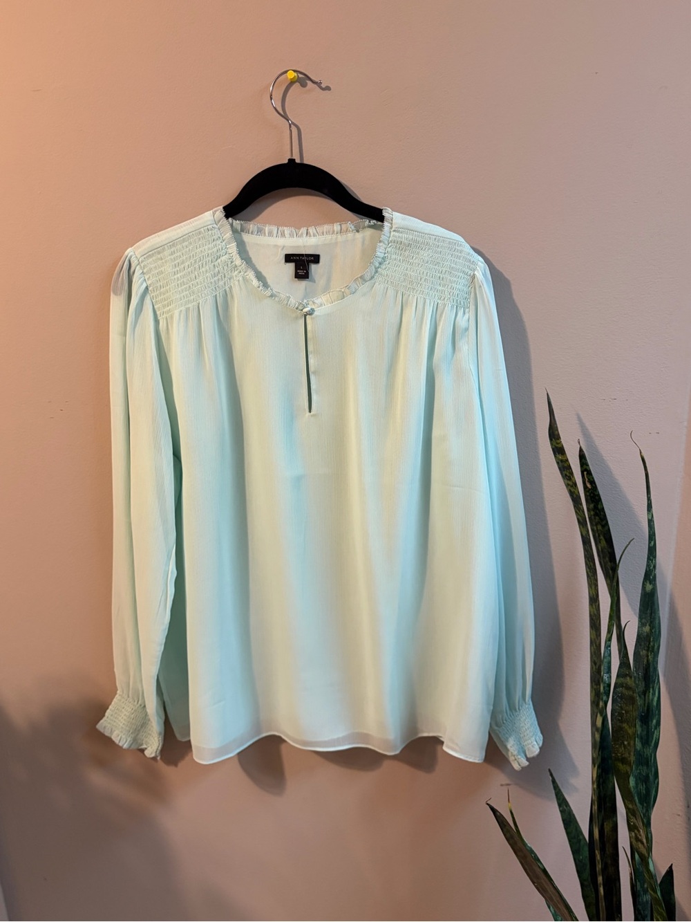 Ann Taylor Mint Green Smocked Peasant Blouse | Size L
#0018
